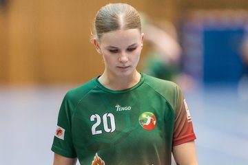 Bild 160 - F HSG Kremperheide/Muensterdorf - HSG Holstein Kiel/Kronshagen : Ergebnis: 31:26